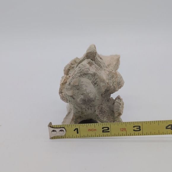 Natural Oreodont Vertebra Fossil In Stone Matrix - Picture 3 of 11
